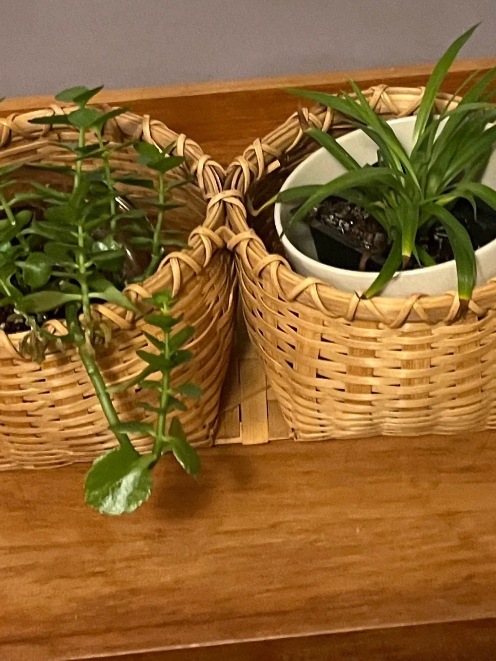 Handwoven Natural Rattan Storage Baskets - Tan